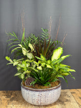 Load image into Gallery viewer, Dish Garden
