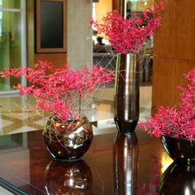 Cargar imagen en el visor de la galería, Lobby & Foyer