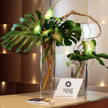 Cargar imagen en el visor de la galería, Lobby & Foyer