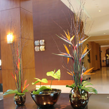 Cargar imagen en el visor de la galería, Lobby & Foyer