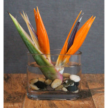 Cargar imagen en el visor de la galería, Restaurant & Bar - The Blooming Idea Florst - The Woodlands, Texas