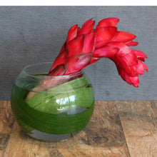 Cargar imagen en el visor de la galería, Restaurant & Bar - The Blooming Idea Florst - The Woodlands, Texas