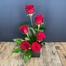 Load image into Gallery viewer, Swank Six - The Blooming Idea