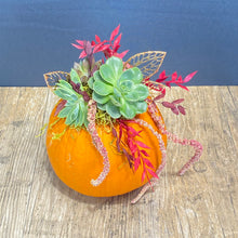 Cargar imagen en el visor de la galería, Succulent Pumpkin
