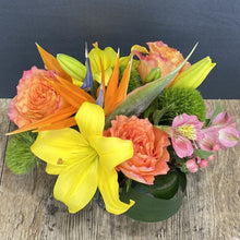 Cargar imagen en el visor de la galería, Citrus &amp; Sun
