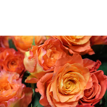 Cargar imagen en el visor de la galería, Mad for You (24 Roses) - The Blooming Idea Florst - The Woodlands, Texas
