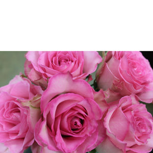 Custom Rose Arrangement - The Blooming Idea Florst - The Woodlands, Texas